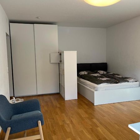 Wohnung Am Neckar Хайделберг Екстериор снимка