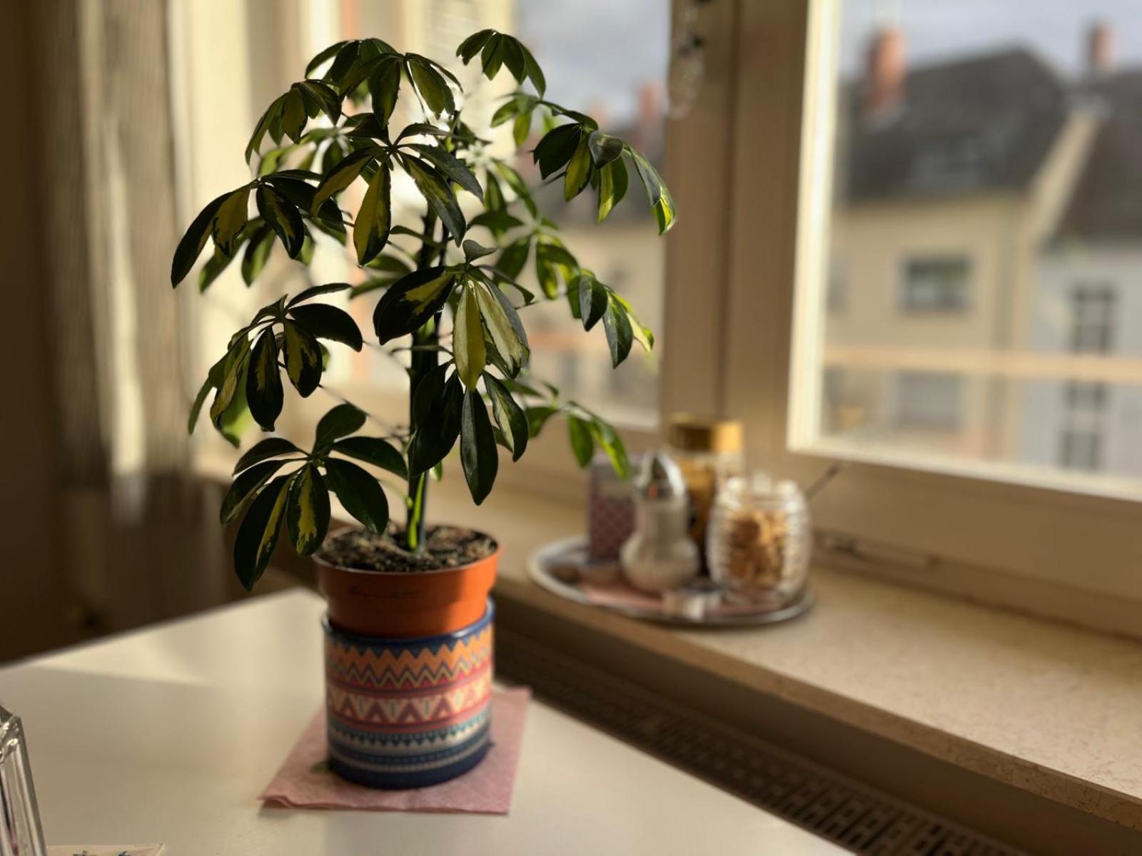 Wohnung Am Neckar Хайделберг Екстериор снимка