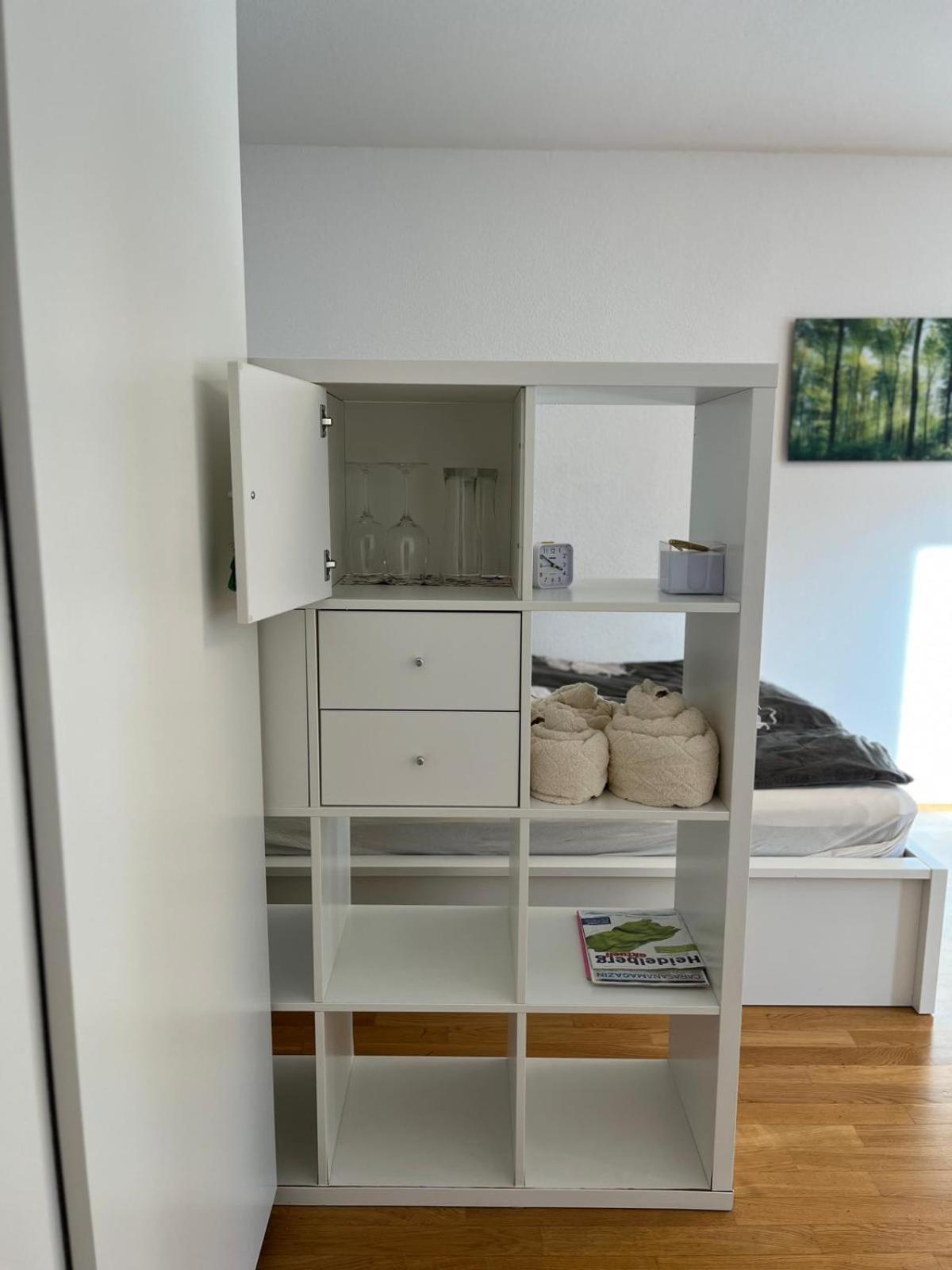 Wohnung Am Neckar Хайделберг Екстериор снимка