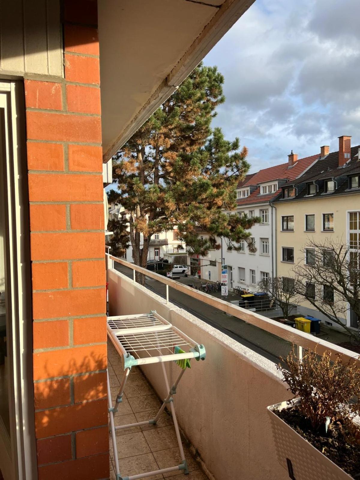 Wohnung Am Neckar Хайделберг Екстериор снимка
