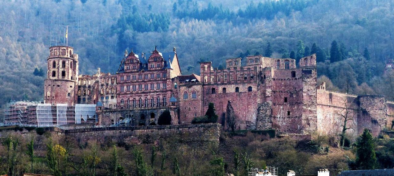 Wohnung Am Neckar Хайделберг Екстериор снимка